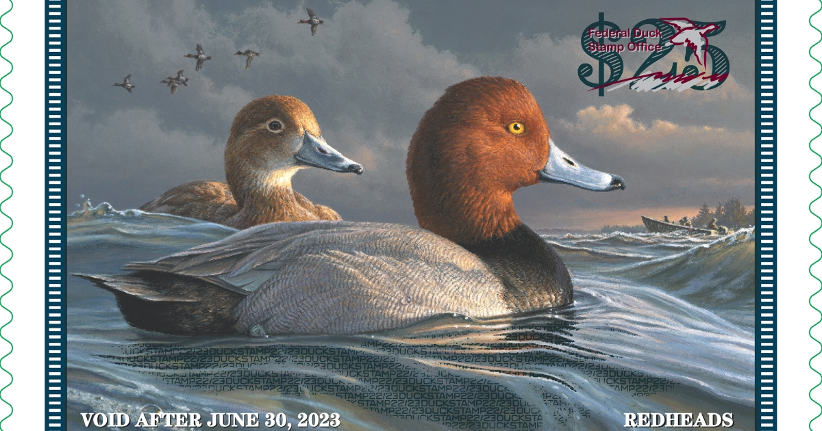 Buy a Duck Stamp or EStamp U.S. Fish & Wildlife Service
